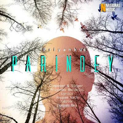 Parindey - Single Cover