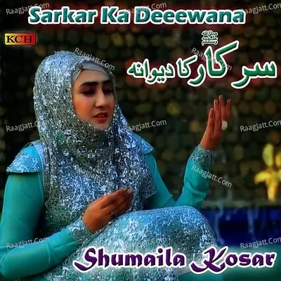 Sarkar Ka Deeewana Poster