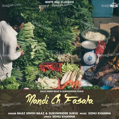 Mandi Ch Fasata Cover