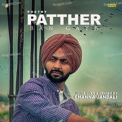 Patther Ban Gaye Cover