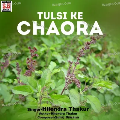 Tulsi Ke Chaora