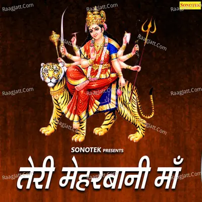 Tere Mehar Wani Maa Poster
