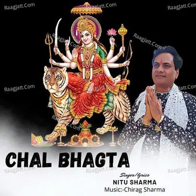 Nitu Sharma Image