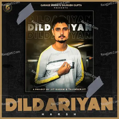 Dildariyan Cover