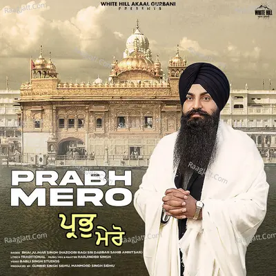 Bhai Jujhar Singh (hazoori Ragi Sri Darbar Sahib Amritsar)