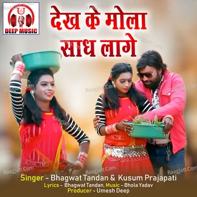 Dekh Ke Mola Sadh Lage (Chhattisgarhi Song) Cover