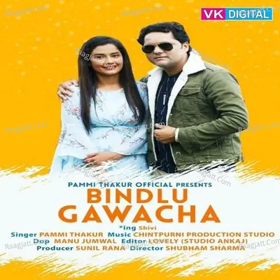 Bindlu Gawacha Cover