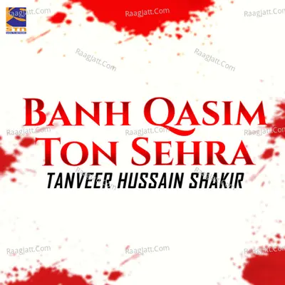 Tanveer Hussain Shakir