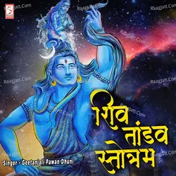 Geetanjali Pawan Dixit