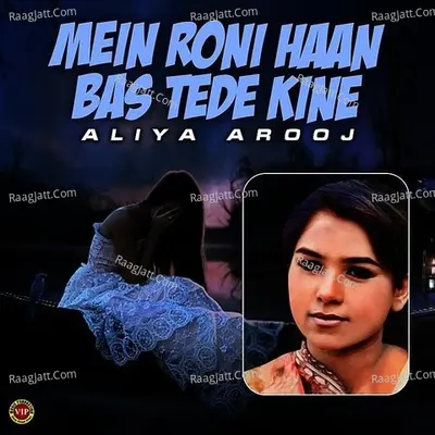 Mein Roni Haan Bas Tede Kine - Single