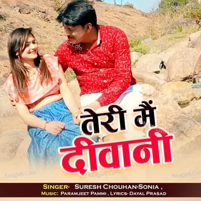 Teri Main Deewani Cover