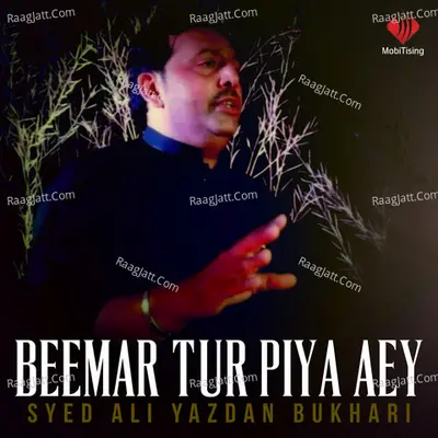 Beemar Tur Piya Aey - Syed Ali Yazdan Bukhari