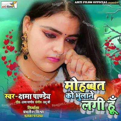 Mohabbat Ko Bhulane Lagi Hoo Cover