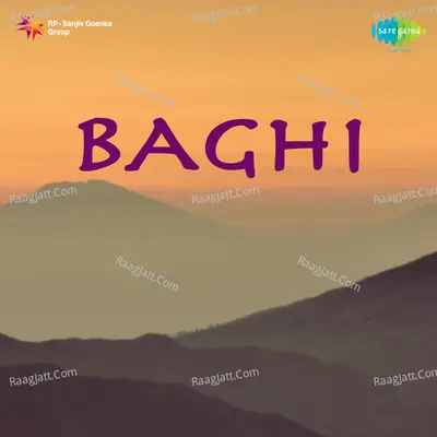 Baghi Poster