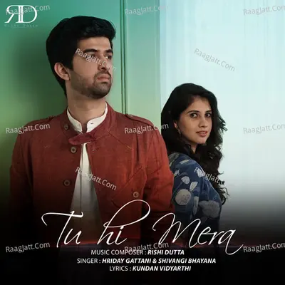 Tu Hi Mera Cover