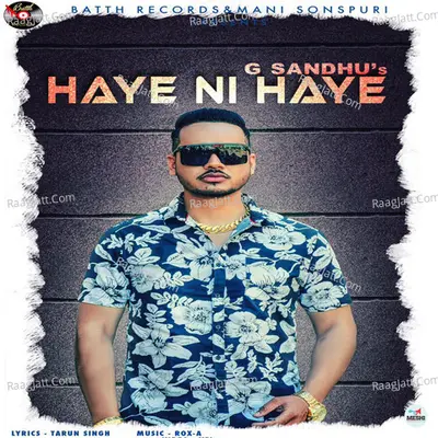 Haye Ni Haye Cover
