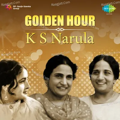 Punjabi K S Narula Poster