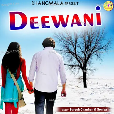 Deewani. Cover