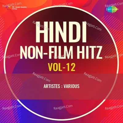 Hindi Non - Film Hitz Vol - 12 Cover