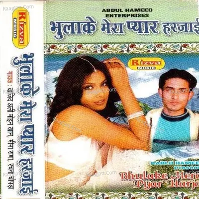 Bhulake Mera Pyar  Poster