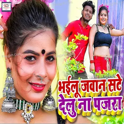 Bhailu Jawan Sate Delu Na Pajra