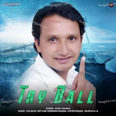 Try Ball Cover