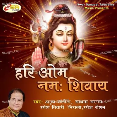 Hari Om Namah Shivayah Cover