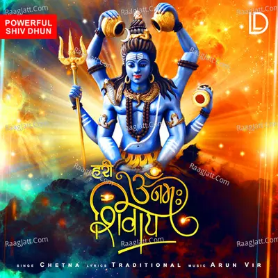 hari om namah shivay Cover