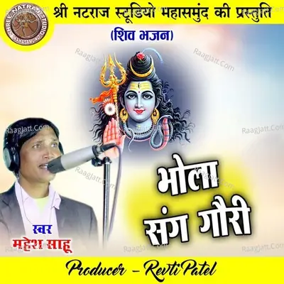 Mahesh Sahu Image