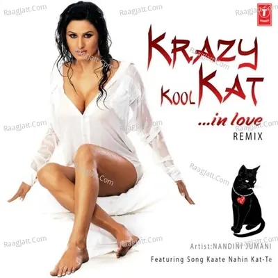 Krazy Kool Kat In Love Remix Cover