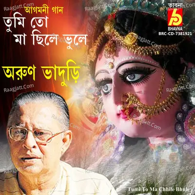 Arun Bhaduri Image