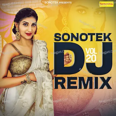 Sonotek DJ Remix Vol 20 Poster