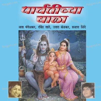 Parvtichya Bala Poster