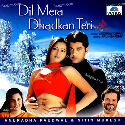 Dil Mera Dhadkan Teri Poster