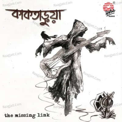 Kaktarua - Missing Link