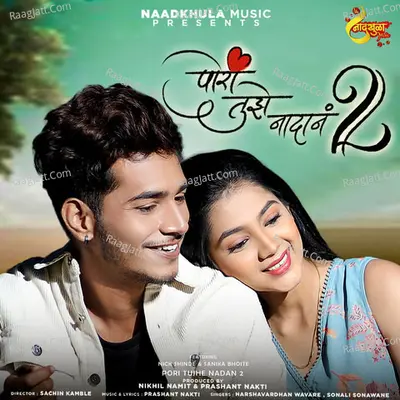 Pori Tujhe Nadan 2 Cover