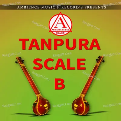 Tanpura B Scale Cover