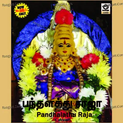 Pandhalathu Raja Poster