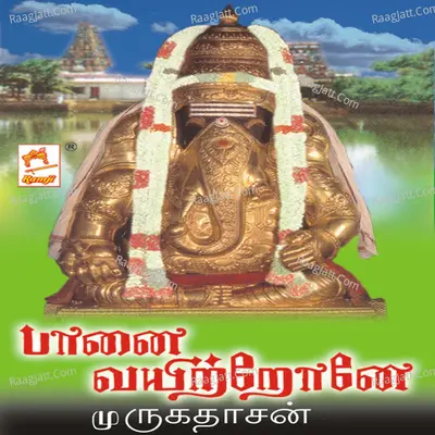 Paanai Vayitronea Poster
