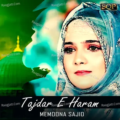 Tajdar E Haram - Single Cover