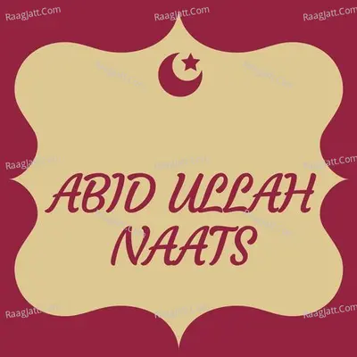 PASHTO NEW NAATS ABID ULLAH VOL 3 - ABID ULLAH