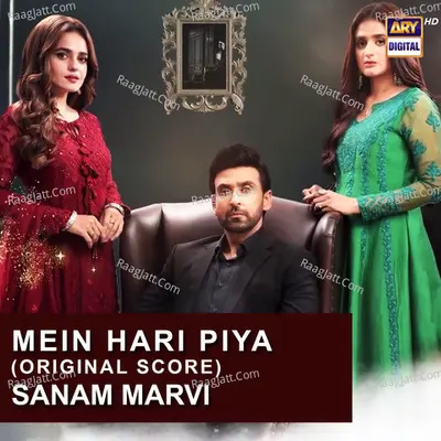 Mein Hari Piya (Original Score) Cover