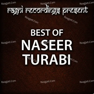 Best of Naseer Turabi - Naseer Turabi