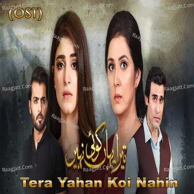 Tera Yahan Koi Nahin (From "Tera Yahan Koi Nahin") Cover