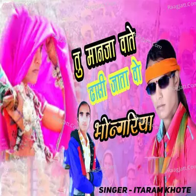 Tu Manja Vate Dhasu Jata Wo Bhangoriya Cover