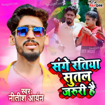 Nitish Aryan Image