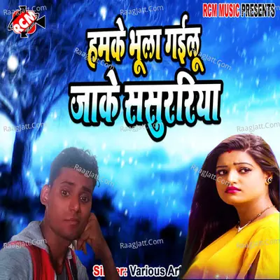 Hamake bhula gailu jake sasurariya Poster