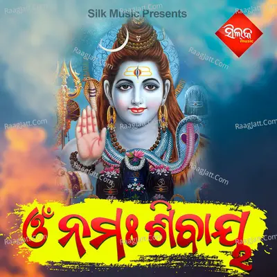 Om Namha Sivaya Poster