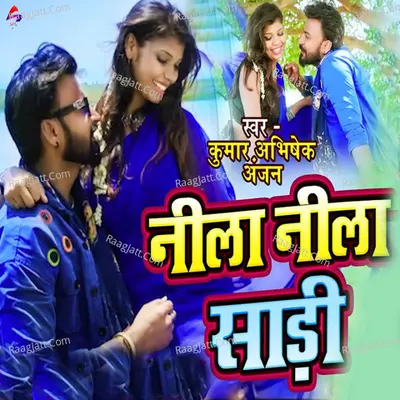 Neela Neela Saree Cover