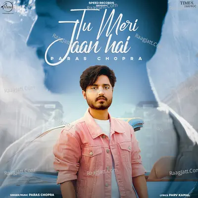 Tu Meri Jaan Hai Cover